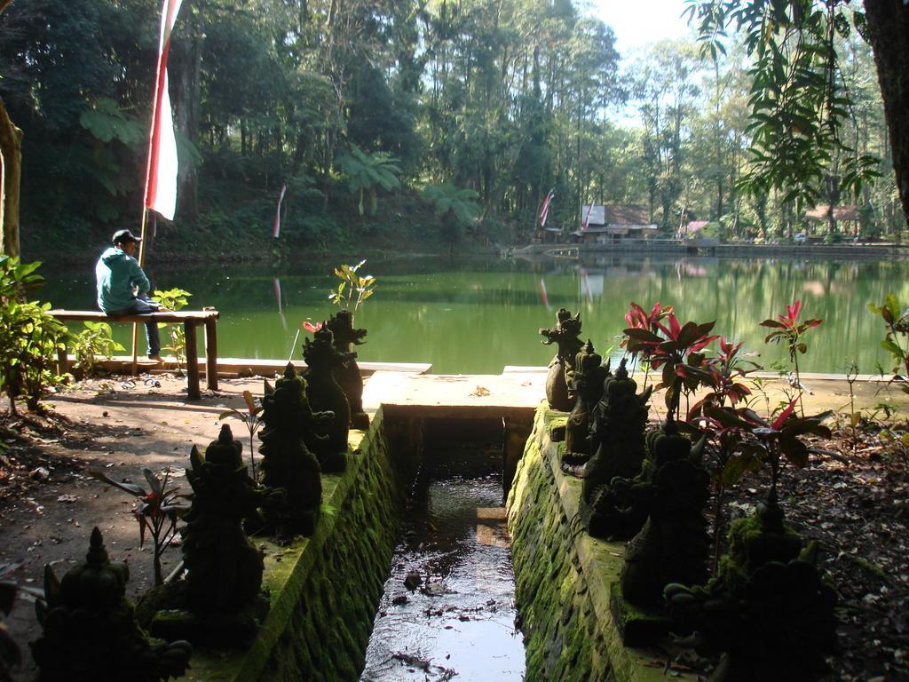 Thalia Homestay & Ijen Bromo Tour Banyuwangi  Exterior photo