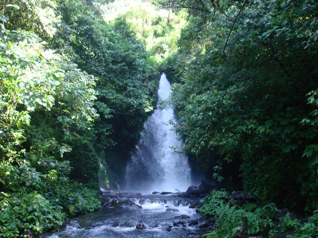 Thalia Homestay & Ijen Bromo Tour Banyuwangi  Exterior photo