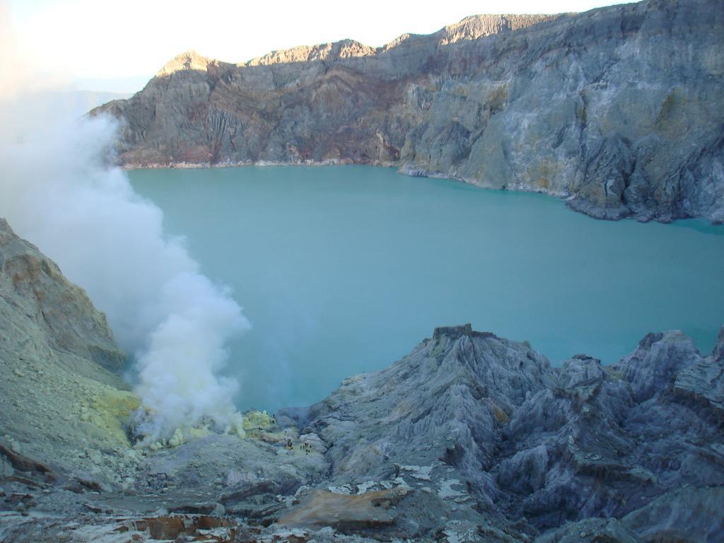 Thalia Homestay & Ijen Bromo Tour Banyuwangi  Exterior photo