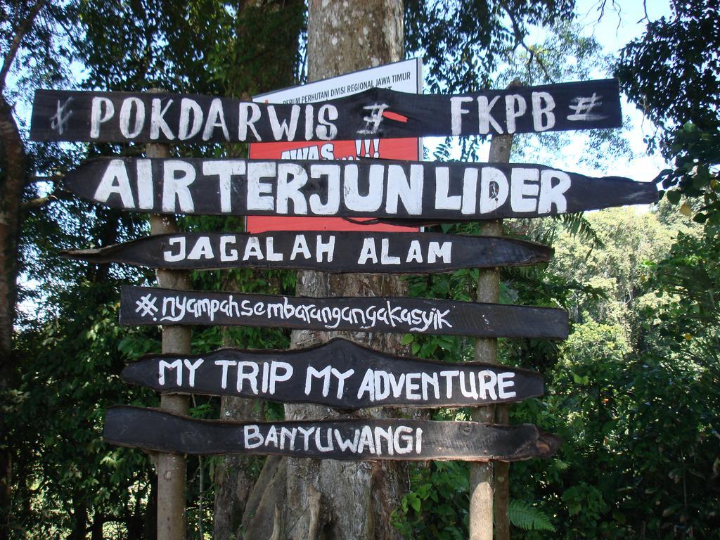 Thalia Homestay & Ijen Bromo Tour Banyuwangi  Exterior photo