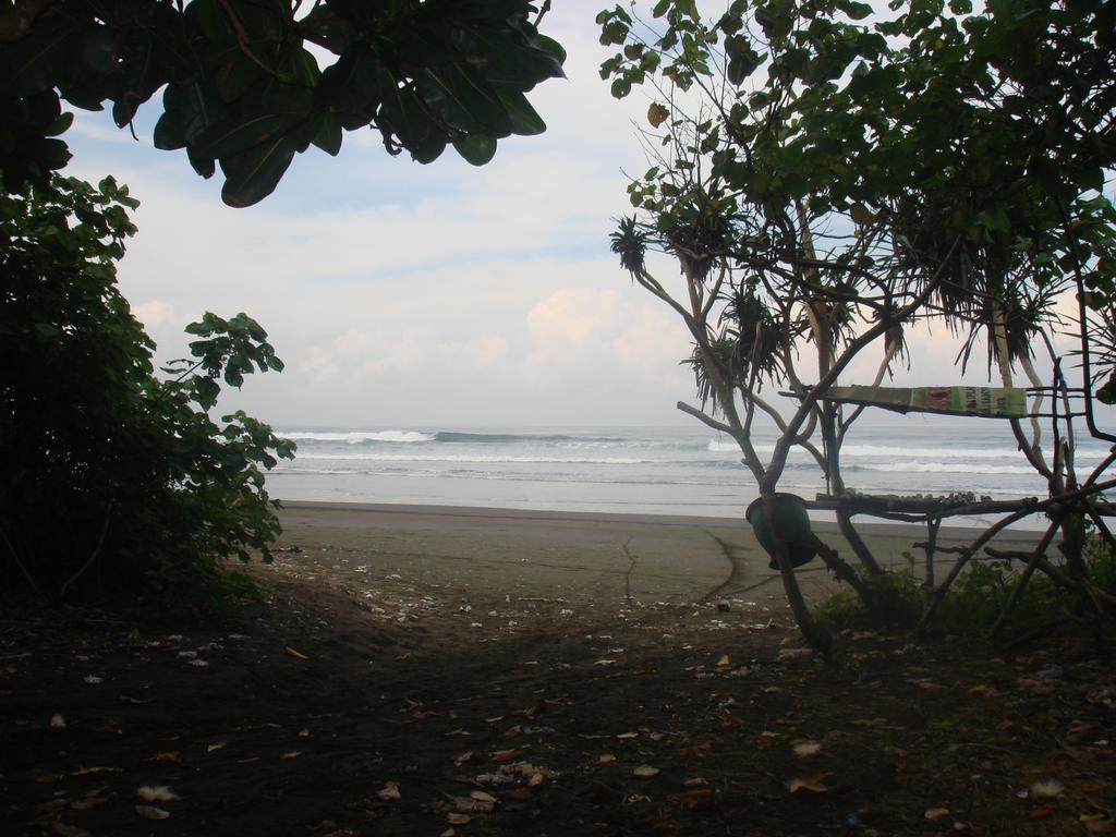 Thalia Homestay & Ijen Bromo Tour Banyuwangi  Exterior photo