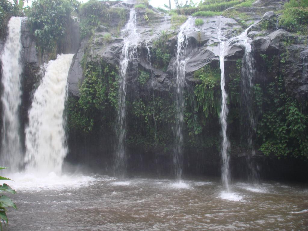Thalia Homestay & Ijen Bromo Tour Banyuwangi  Exterior photo