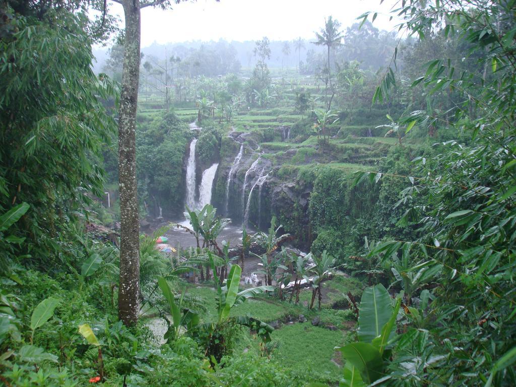 Thalia Homestay & Ijen Bromo Tour Banyuwangi  Exterior photo