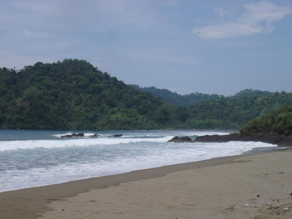 Thalia Homestay & Ijen Bromo Tour Banyuwangi  Exterior photo