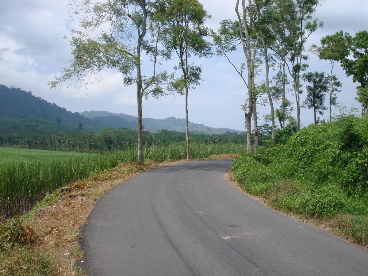 Thalia Homestay & Ijen Bromo Tour Banyuwangi  Exterior photo