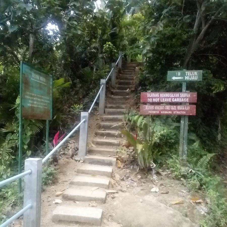 Thalia Homestay & Ijen Bromo Tour Banyuwangi  Exterior photo