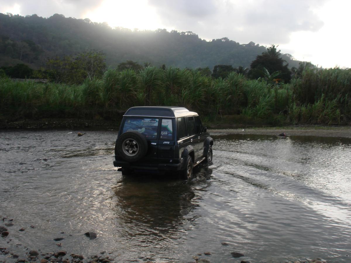 Thalia Homestay & Ijen Bromo Tour Banyuwangi  Exterior photo
