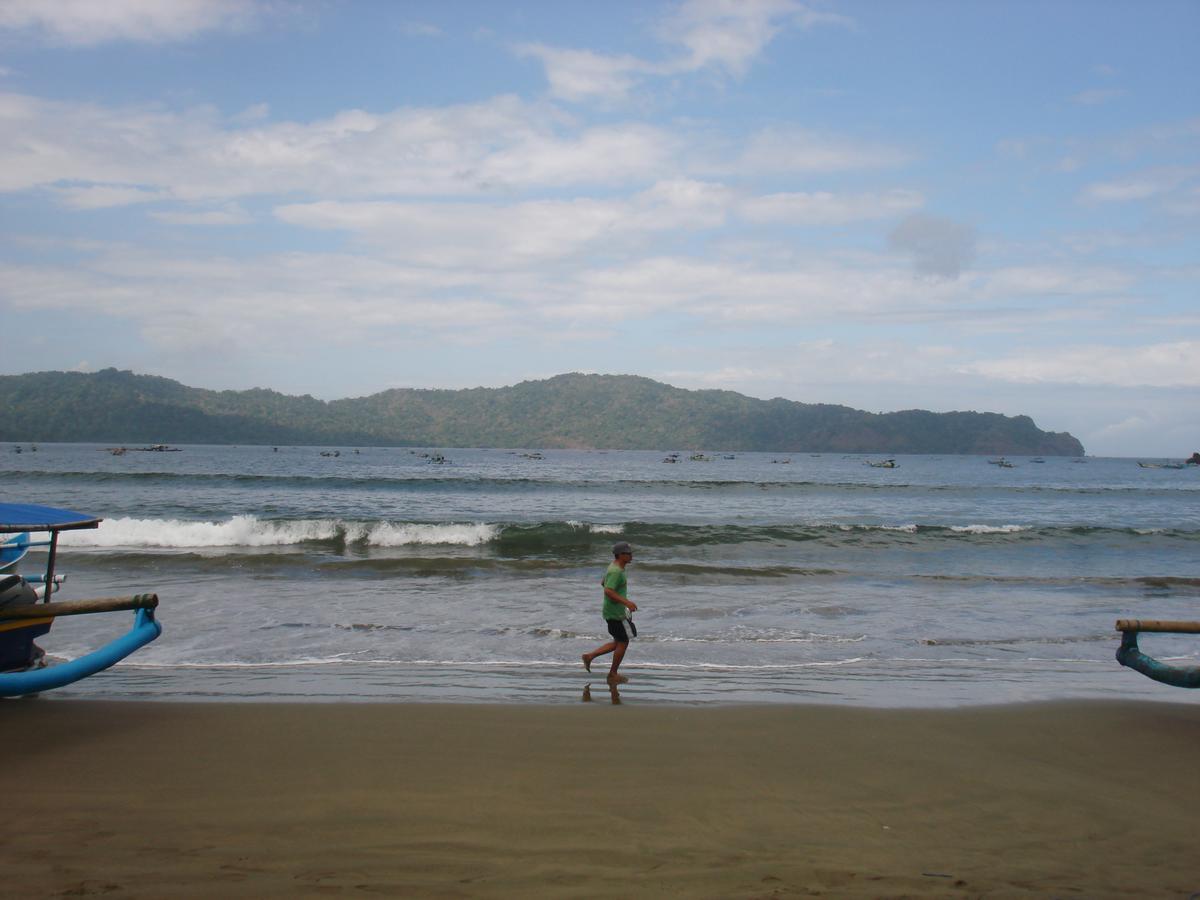 Thalia Homestay & Ijen Bromo Tour Banyuwangi  Exterior photo